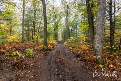 Parcel 4 - Driveway