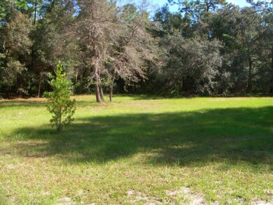 18520 SW 51st Ln, Dunnellon, FL 34432 - photo 7
