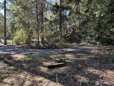 17820 Pondside Ct SE, Yelm, WA 98597 - photo 7