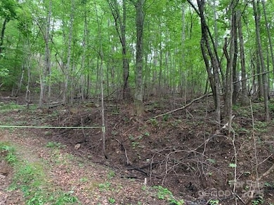 42.16 ACS Green River Cove Rd unit 42.162 AC., Saluda, NC 28726 - photo 4