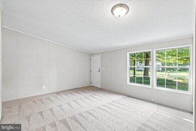 12223 Longleaf Rd, Ruther Glen, VA 22546 - photo 4