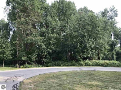 0 Wedgewood Dr unit 1940813, Cadillac, MI 49601 - photo 7