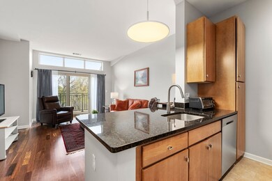 5 Repton Cir unit 5408, Watertown, MA 02472 - photo 4