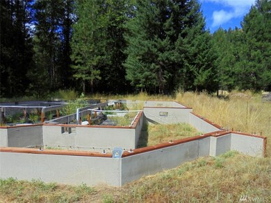 1045 Twisp River Rd, Twisp, WA 98856 - photo 4