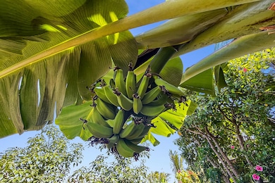 0 Mapuana Ave unit 726138, Pahoa, HI 96778 - photo 6