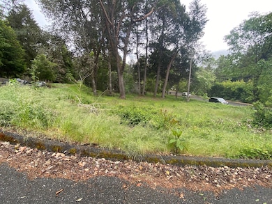 352 Tree Top Ln, Willow Creek, CA 95573 - photo 3