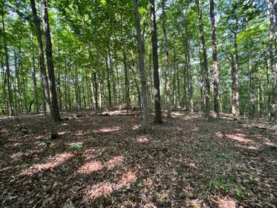 10.97 AC H R Huffer Rd, Allons, TN 38541 - photo 6