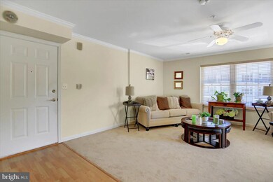 6502 Ridenour Way E unit 2A, Sykesville, MD 21784 - photo 5