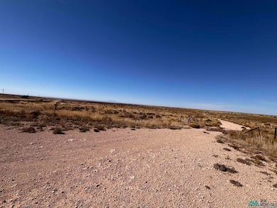 7986 Clovis Hwy, Roswell, NM 88201 - photo 3