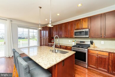 9023 Ribbon Falls Loop, Bristow, VA 20136 - photo 6