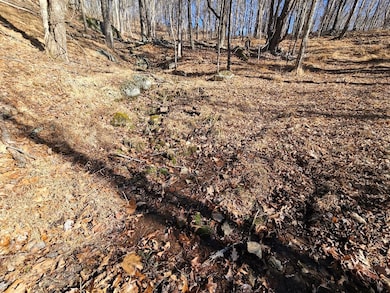 Lot#6 Fannies Ln, Fries, VA 24330 - photo 5