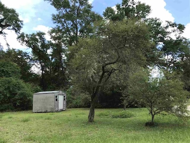 440 Harvey Mill Rd, Crawfordville, FL 32327 - photo 6