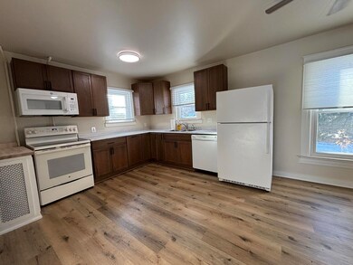 428.5 Ideal St, Milan, MI 48160 - photo 5