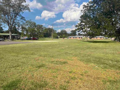605 Western Bypass, Carolina, AL 36420 - photo 7
