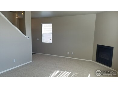 6757 Covenant Ct, Timnath, CO 80547 - photo 6