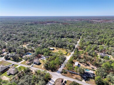 10484 Snowbird Ave, Weeki Wachee, FL 34614 - photo 4