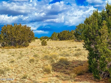 20240321005832508368000000-o (1)