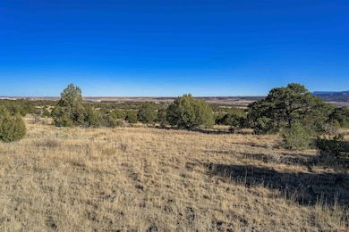 15311 Rancho Verde Rd, Trinidad, CO 81082 - photo 7