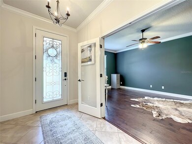 30301 Gidran Terrace, Mount Dora, FL 32757 - photo 5