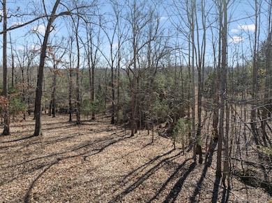 1209 Whippoorwill Dr, Kingston Springs, TN 37082 - photo 5