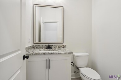 12115 Clare Ct, Geismar, LA 70734 - photo 6