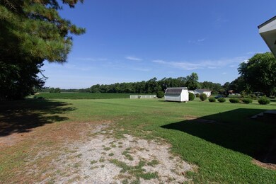 Driveway & Back Yard