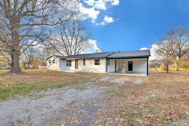 1681 Lena Rd, Horton, AL 35980 - photo 2