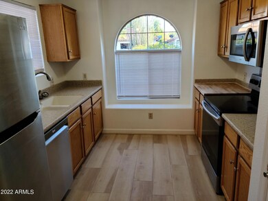 1038 W Butler Ct, Chandler, AZ 85224 - photo 6