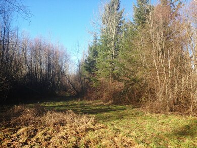 0 Lybecker Ln SE unit 732811, Rainier, WA 98576 - photo 2