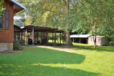 3035 Magnolia Pisgah Rd, Summit, MS 39666 - photo 5