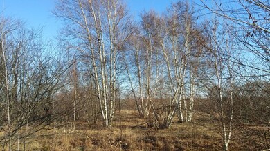 0 Bertuccio Ave, Salem, MA 01970 - photo 2