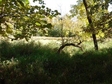 Duck Pond