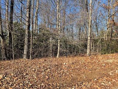 TBD W Pheasant Chase, Fancy Gap, VA 24053 - photo 5