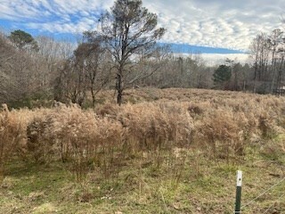 0 Julius Bridge Rd unit 420745, Ball Ground, GA 30107 - photo 6