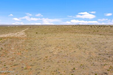 728 E Pine Rd, Valle, AZ 86046 - photo 7