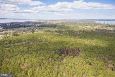 6509 Kent Point Rd, Stevensville, MD 21666 - photo 7