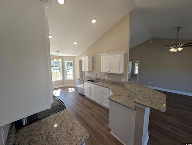 TBB Black Creek Rd, Nichols, SC 29581 - photo 4