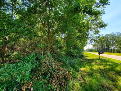 000 Morey Hill Rd, Baconton, GA 31716 - photo 4