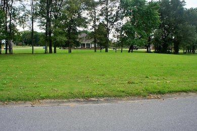 00 Hawthorne Ln, Grant, IL 62960 - photo 6