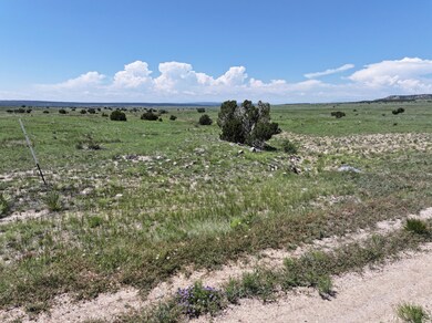 DJI_20250609113340_0039_D