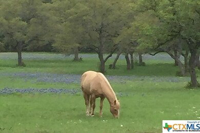 17110 N Highway 16, Helotes, TX 78023 - photo 2