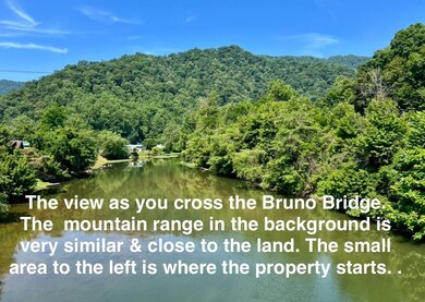 0 Sandlick Branch Rd unit Bruno 182264, Bruno, WV 25701 - photo 5