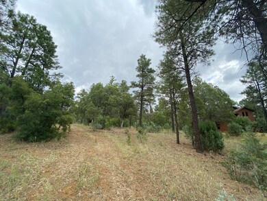 Pine Trees