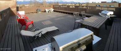 Deck #2 - 2011