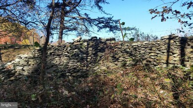 687 Scrabble Rd, Castleton, VA 22716 - photo 6