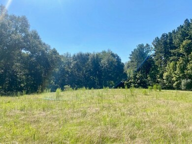 14 Firetower Rd, Tylertown, MS 39667 - photo 7