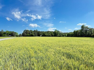 Tbd Hwy 19 unit LotWP001, Nichols, SC 29581 - photo 7