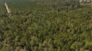 00 Cross Country Blvd unit 68, Marianna, FL 32446 - photo 5