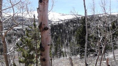 539 W Ski View Dr unit Lot 13, blk b, Unt C, Brian Head, UT 84719 - photo 3
