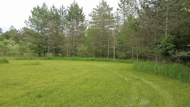 5403 Knights Way unit Lot 34 Knights Way, Butman Township, MI 48624 - photo 4